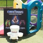 Cats and Dogs Watering Station at Petropolis 52