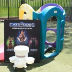 Cats and Dogs Watering Station at Petropolis 54