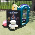 Cats and Dogs Watering Station at Petropolis 56
