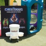Cats and Dogs Watering Station at Petropolis 57