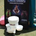 Cats and Dogs Watering Station at Petropolis 58