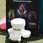 Cats and Dogs Watering Station at Petropolis 59