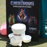 Cats and Dogs Watering Station at Petropolis 60