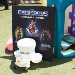 Cats and Dogs Watering Station at Petropolis 74