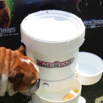 Cats and Dogs Watering Station at Petropolis 87