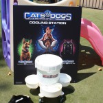 Cats and Dogs Watering Station at Petropolis 92