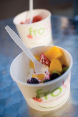 froyo