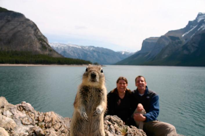 national-geographic-vacation-squirrel