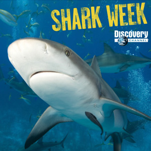 shark-week-2009-discovery-channel