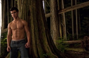 jacob-set-twilight-new-moon