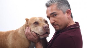 Cesar Millan and His Dog Daddy the Pitbull