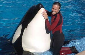 Dawn Brancheau Photo Attacked By Killer Orca Whale