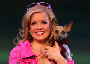 Legally Blonde Musical Becky Gulsvig Elle Woods