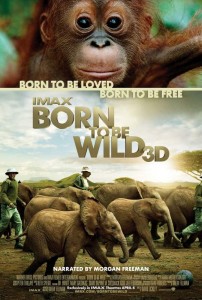 Born to Be Wild 3D Movie Poster