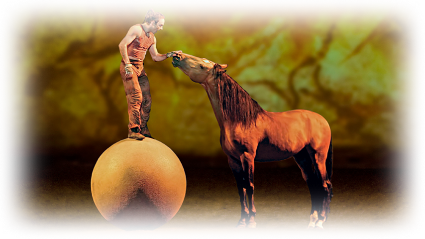 Cavalia St Louis Man on Ball With Horse