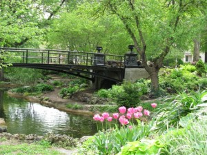 Lafayette Square Garden Tour Pink Flowers and the Bridge