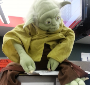 Yoda Backpack is judging.