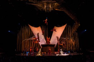 Cirque du Soleil Varekai St Louis