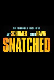 Snatched Poster