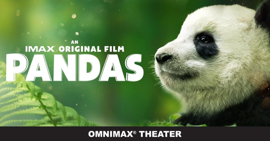 PANDAS Opens April 6! Enter to Win Passes to the St. Louis Science