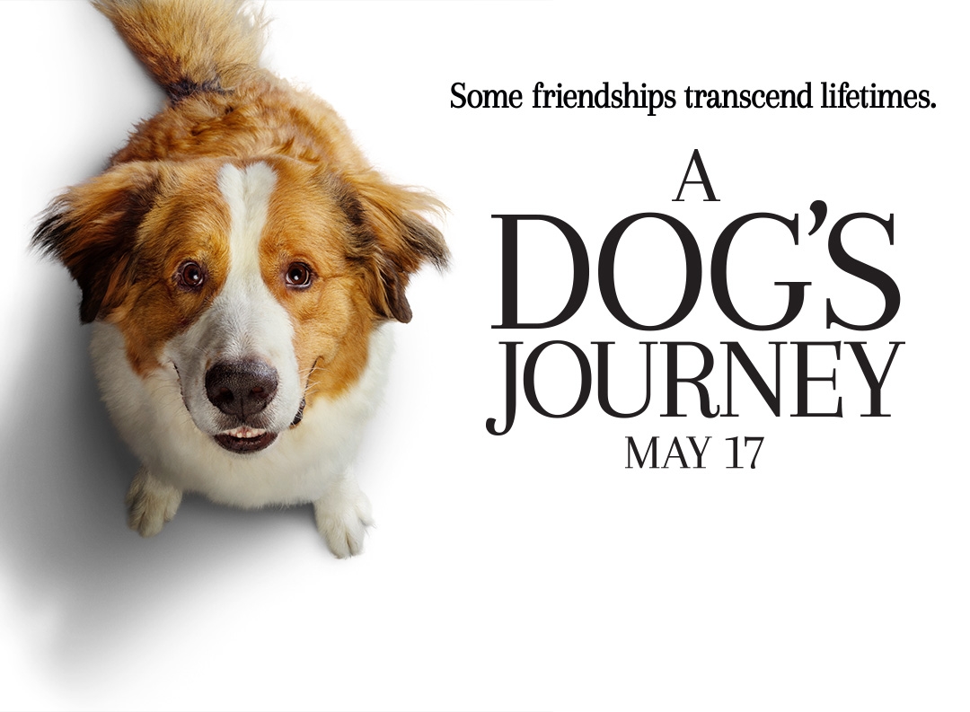 a dog's journey film review